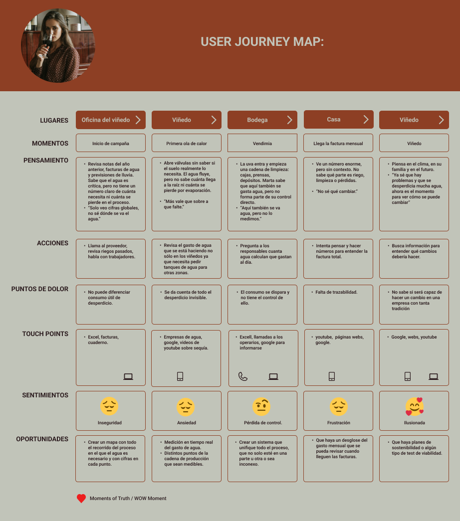 User Journey CEOvereda